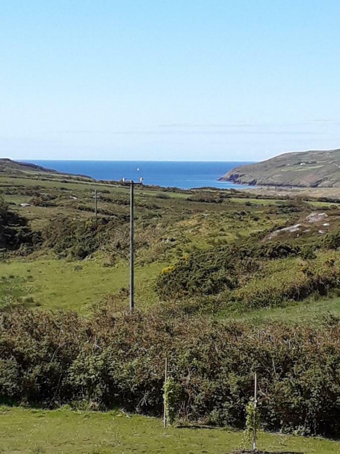 Mizen View Leilighet Goleen Eksteriør bilde